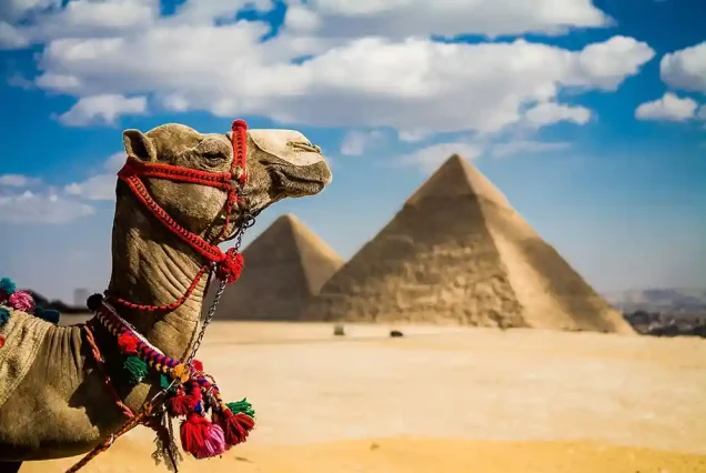 Cairo By Bus Pyramids Giza and Egyptian Museum Day Trip