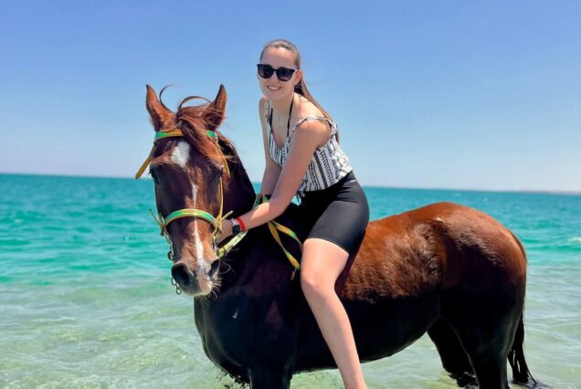 Horse Riding on the Beach from Sharm El Shiekh