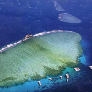 Tiran Island snorkeling
