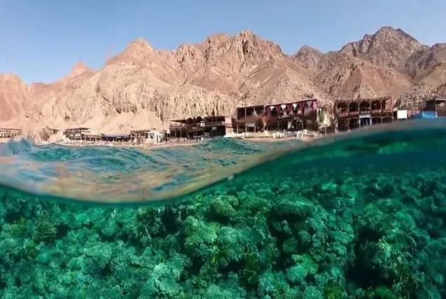 dahab sharm