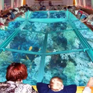 glass bottom boat