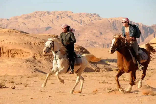 horse riding sharm el sheikh