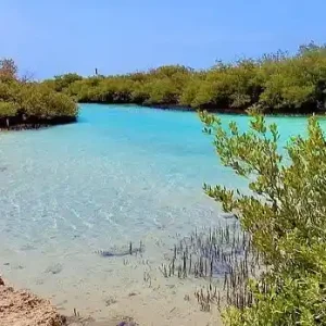 nazionale di ras mohammed