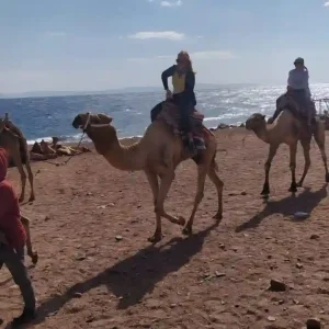 sharm dahab camel escursioni