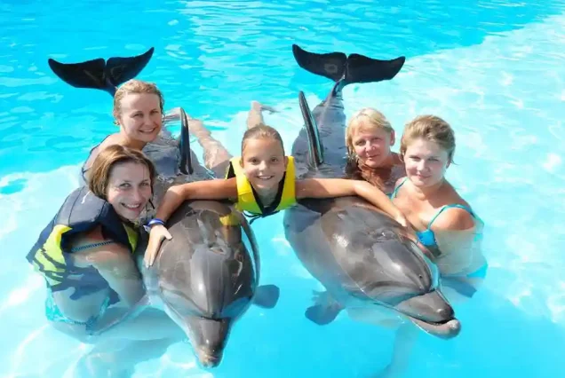 Dolphin show & swimming with dolphins