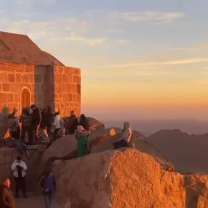 trip to mount sinai